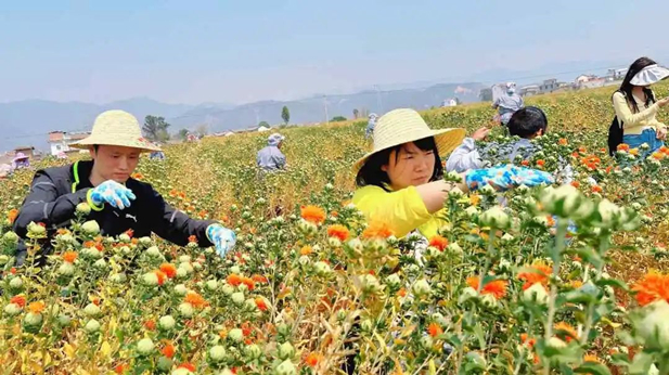 1724381909249052302.jpg 8.jpg